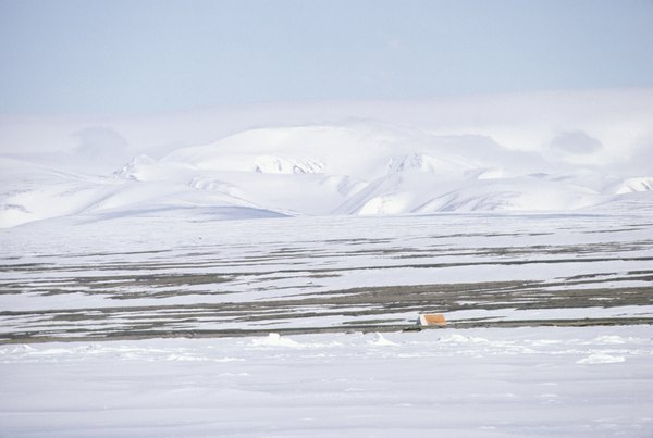 The tundras are deserts with cold average temperatures.