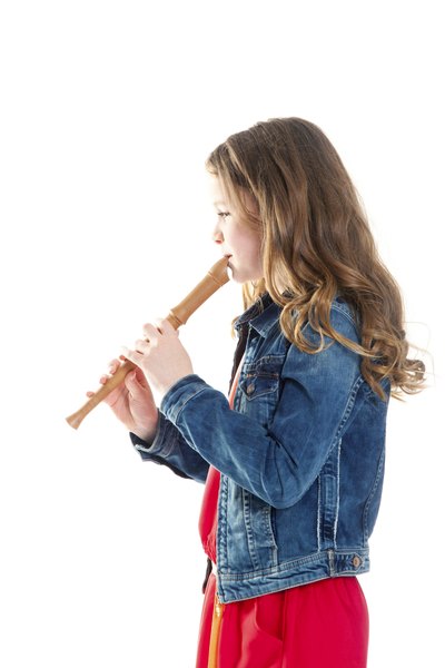 Woodwinds, like this recorder, are aerophones.