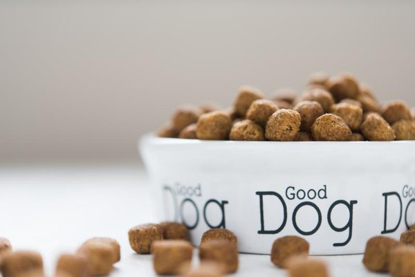 daily-calorie-requirement-for-dogs-pets