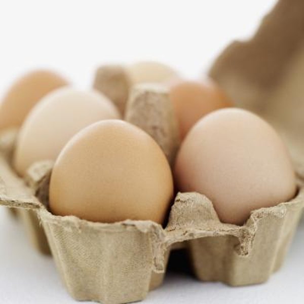 10 Ways To Reuse Egg Cartons Home Guides Sf Gate