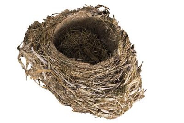 Taking an early withdrawal from your IRA could leave you with nothing for your nest egg.