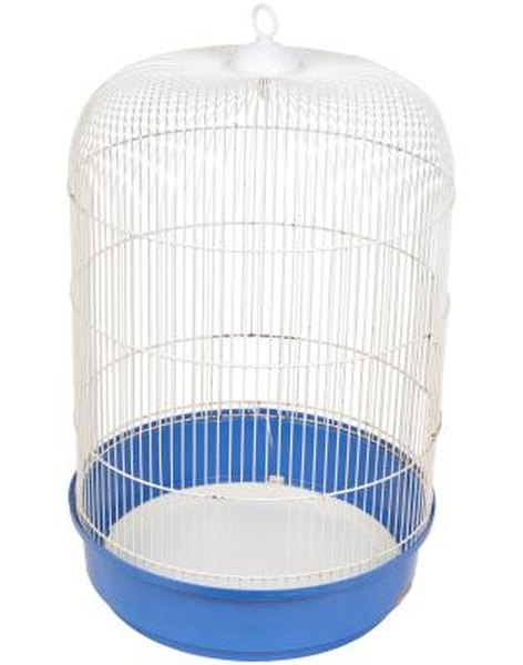 Cage Size for Cockatiels - Pets