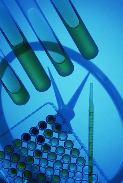 Photo Credit: Jupiterimages/Photos.com/Getty Images Biomedical engineering continues to thrive during times of economic uncertainty.