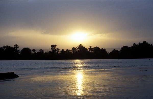 Papyrus grew along the banks of the Nile River.