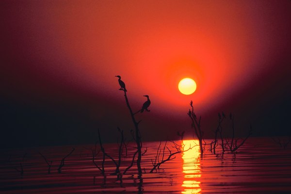 Lago Tanganyika