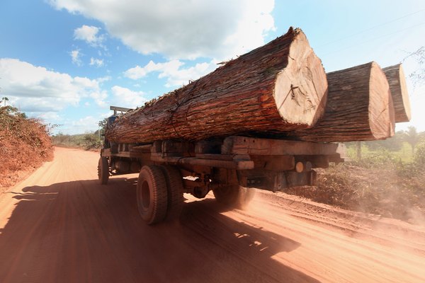 A atividade agrícola e extrativista da Amazônia é muito expressiva