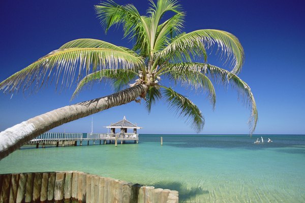 O caribe de Honduras