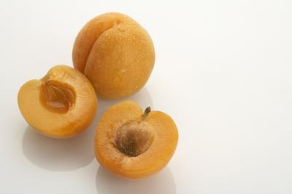 How To Grow Apricots From Pits Indoors Home Guides Sf Gate