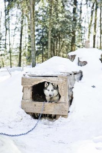 How To Build A Large Insulated Dog House Pets