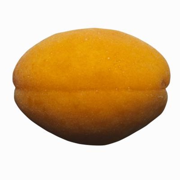 How To Sprout An Apricot Pit Home Guides Sf Gate