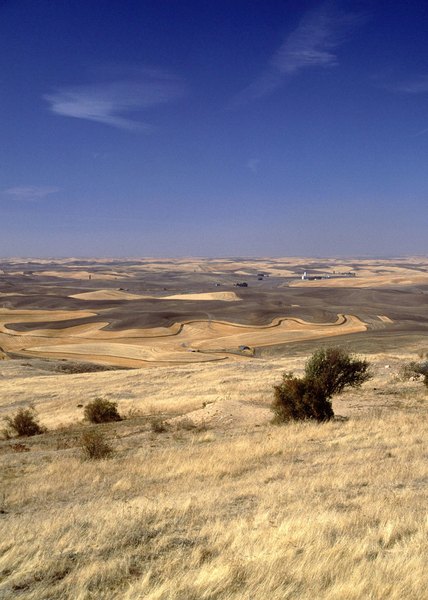 Flood basalts underlie the vast Columbia Plateau in the inland Northwest.