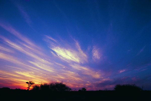 The semiarid Kalahari Desert covers much of Botswana, parts of Namibia and other regions of South Africa.