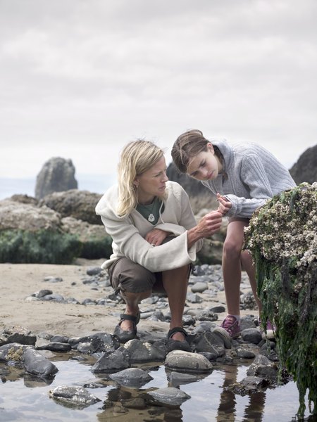 A tidal pool is a type of ecosystem.