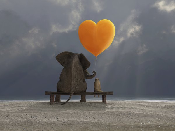 É amor ou amizade?