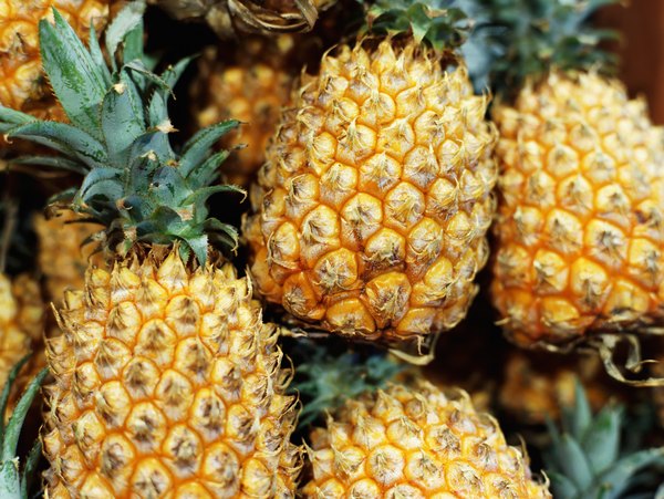 Fruta tropical