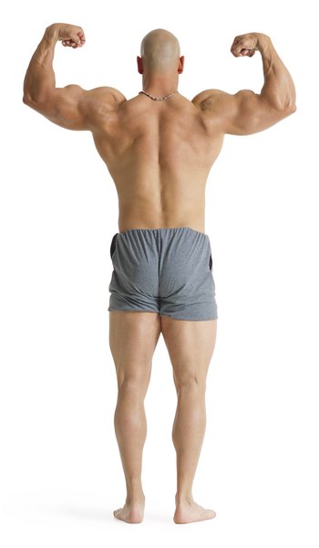 bald adult caucasian male bodybuilder wears gray shorts flexing and showing off muscles in his back