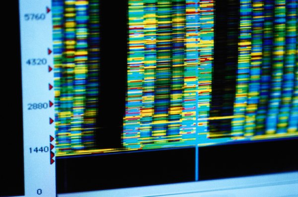 DNA fingerprinting is often used to identify genetic disorders.