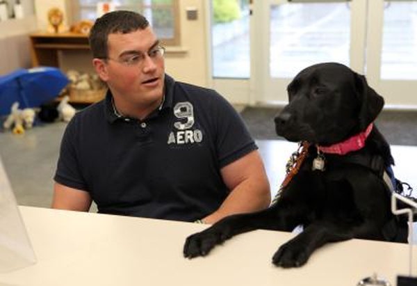 Vets with service-related disabilities may qualify for assistance dogs under federal benefit programs.