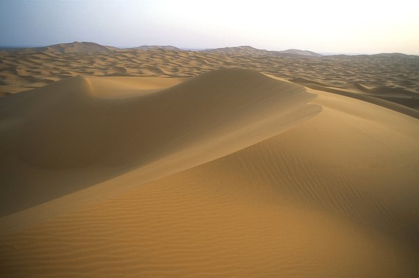 The Sahara Desert was once a tropical paradise.