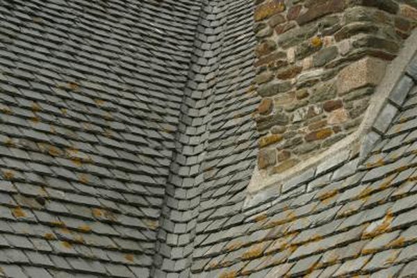 how to remove moss from roof shingles with copper sulfate home guides sf gate - How To Kill Moss On Roof how to remove moss from roof shingles with copper sulfate home guides sf gate - How To Kill Moss On Roof