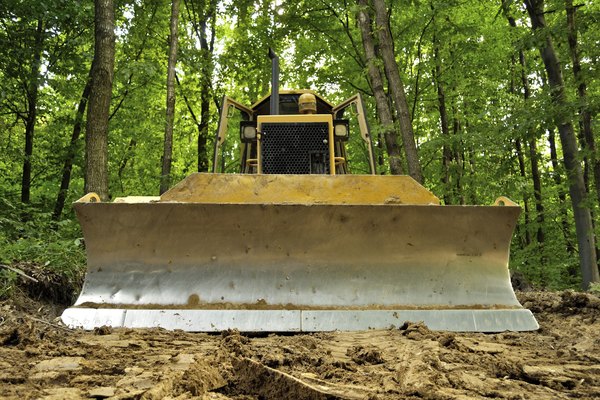 Photo Credit: kviktor01/iStock/Getty Images Deforestation is a serious threat to our natural resources.