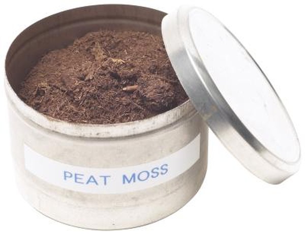Peat Moss Vs Cow Manure Home Guides Sf Gate