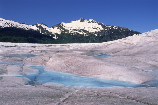 The rock left behind by glaciers is not suitable for the survival of organisms.