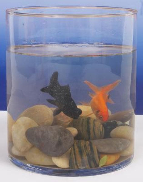 The Best Way To Clean Aquarium Rocks Pets