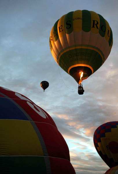 A balloon rises because it weighs less than the air it displaces.