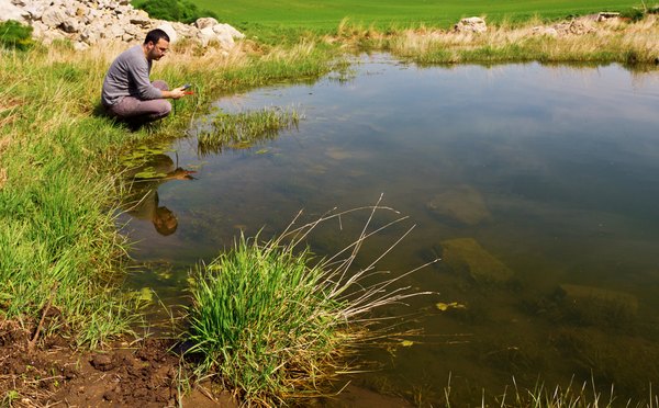 Scientist testing pH levels in a pond