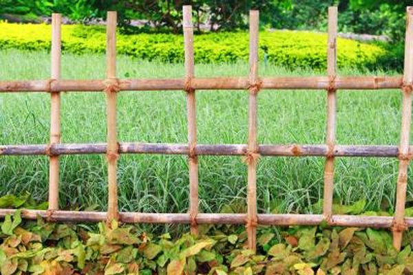 How To Landscape Fences To Keep A Dog Out Of A Garden Home
