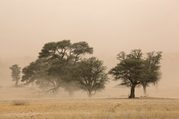 Severe dust storm in the Kalahari Desert, South Africa