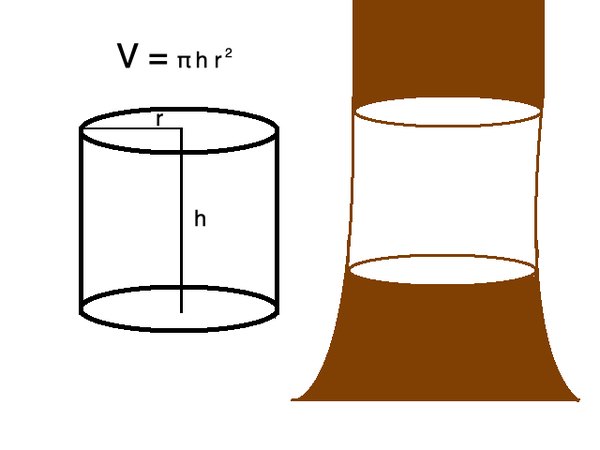 The volume of a cylinder is equal to pi times the height times the radius squared.