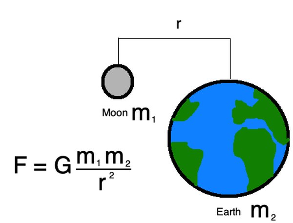 Newton's law of universal gravitation describes the gravitational force between all objects in the universe.