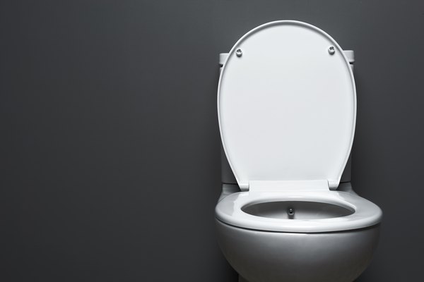 How to Prevent a Black Waterline in the Toilet Home Guides