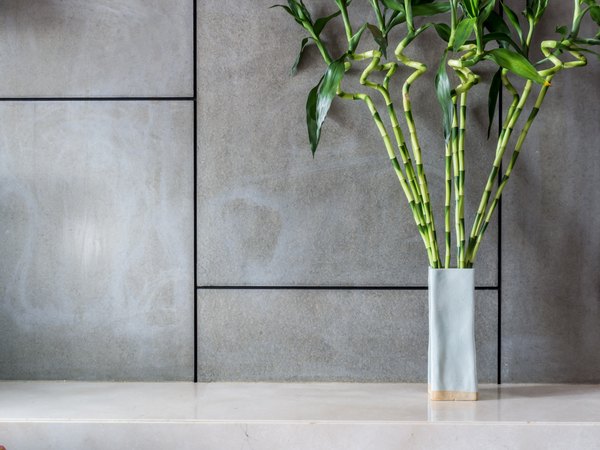 How Do I Care For My Indoor Bamboo Plant That Grows In Pebbles How Do I Care For My Indoor Bamboo Plant That Grows In Pebbles Home Guides Sf Gate