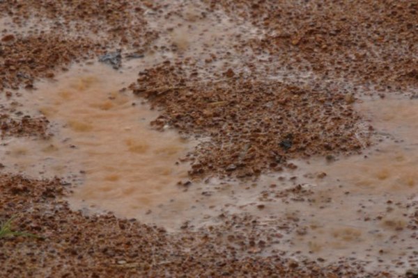 How to dry up mud in yard