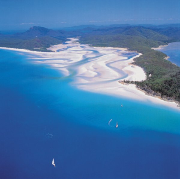 Estuaries exist where freshwater rivers merge with salty ocean water.