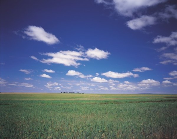 Photo Credit: Jupiterimages/Photos.com/Getty Images Settlers traveling into the western U.S. called the grasslands