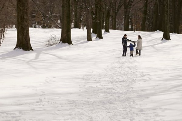 Collecting snow can bring fun and science together.