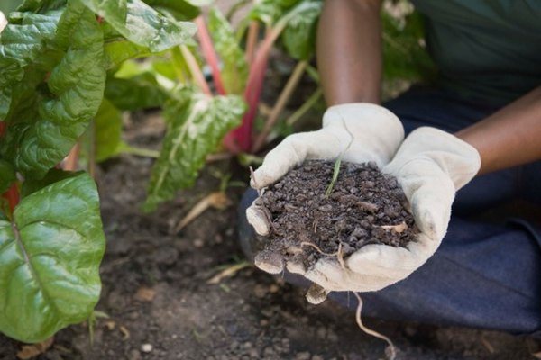 Photo Credit: Jupiterimages/Comstock/Getty Images Floods leave nutrient-rich soil behind.
