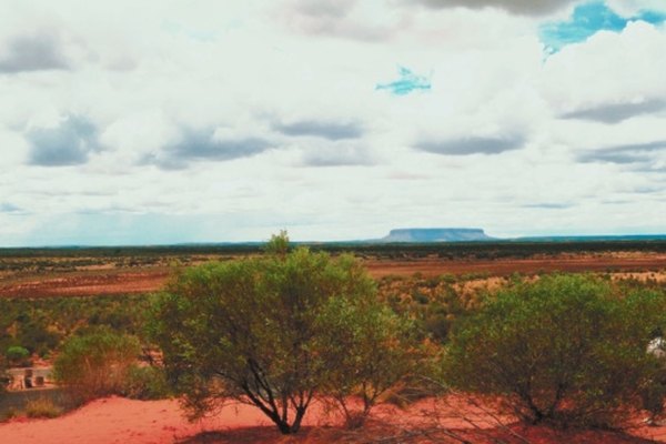 A large portion of Australia's interior is flat desert, called the Outback.