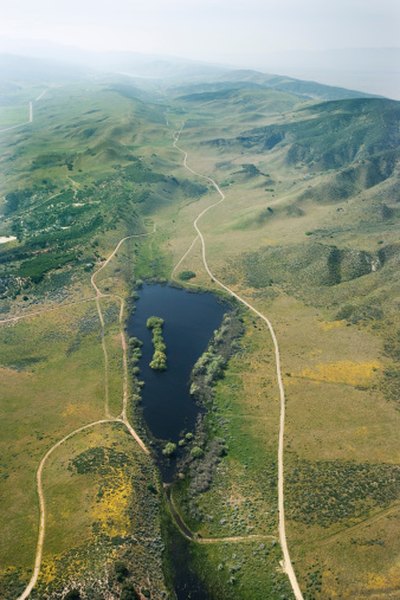 The effects of the sliding plates can be seen along the San Andreas fault.