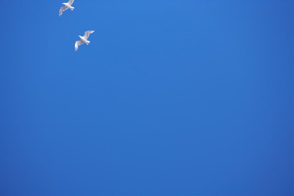 light blue complementary colors