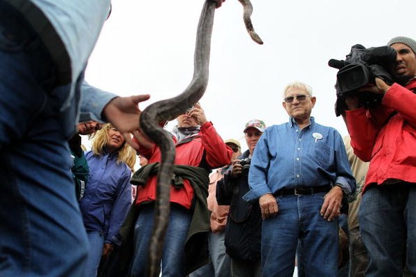 Florida authorizes specific hunters to pursue and trap the Burmese pythons.