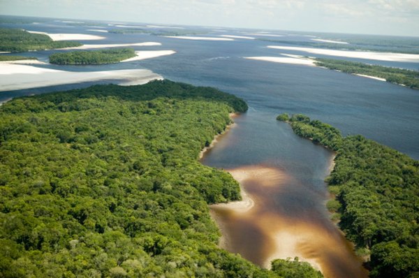 An estuary forms where the river mouth meets the ocean.