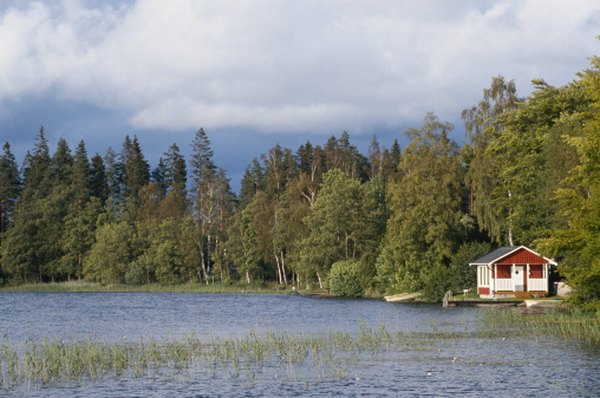 Perch spawn in heavily vegetated areas near the shore.