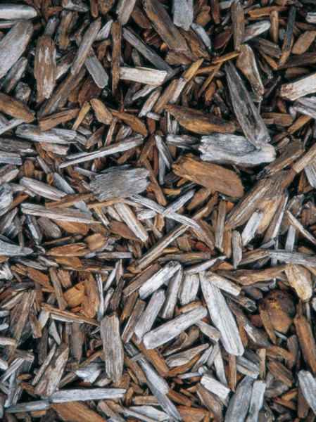 does-pine-bark-mulch-attract-termites-homesteady