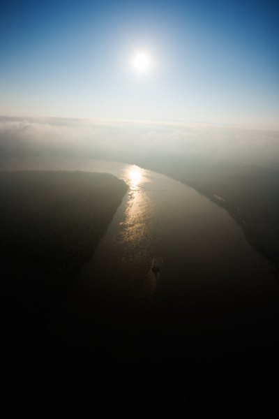 The Mississippi River and other water bodies might house water snakes.