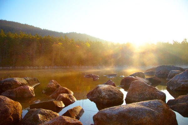 The sun's light provides energy to an ecosystem.